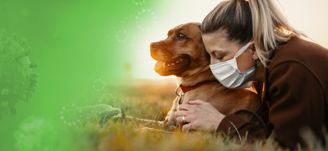 How to protect pets from Covid-19